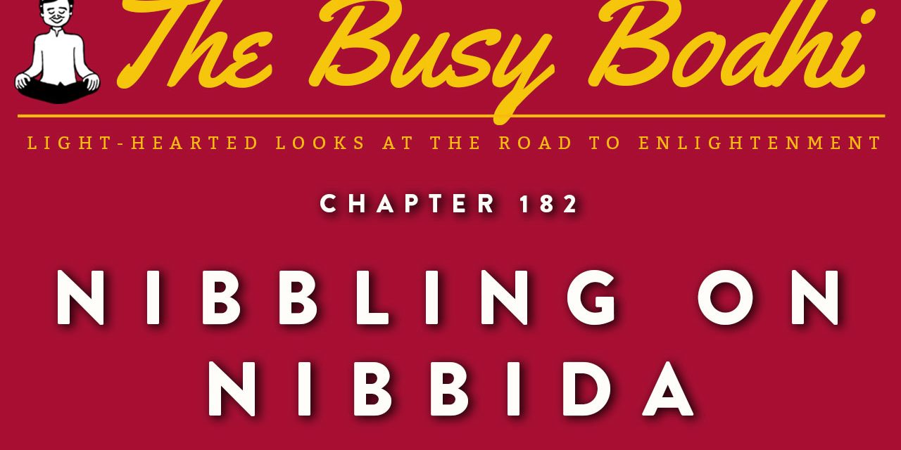 Busy Bodhi: Nibbling on Nibbida