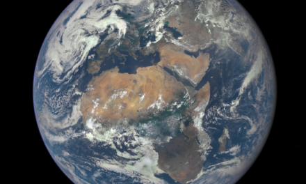 AfricaNews: Search Inside Yourself in Africa